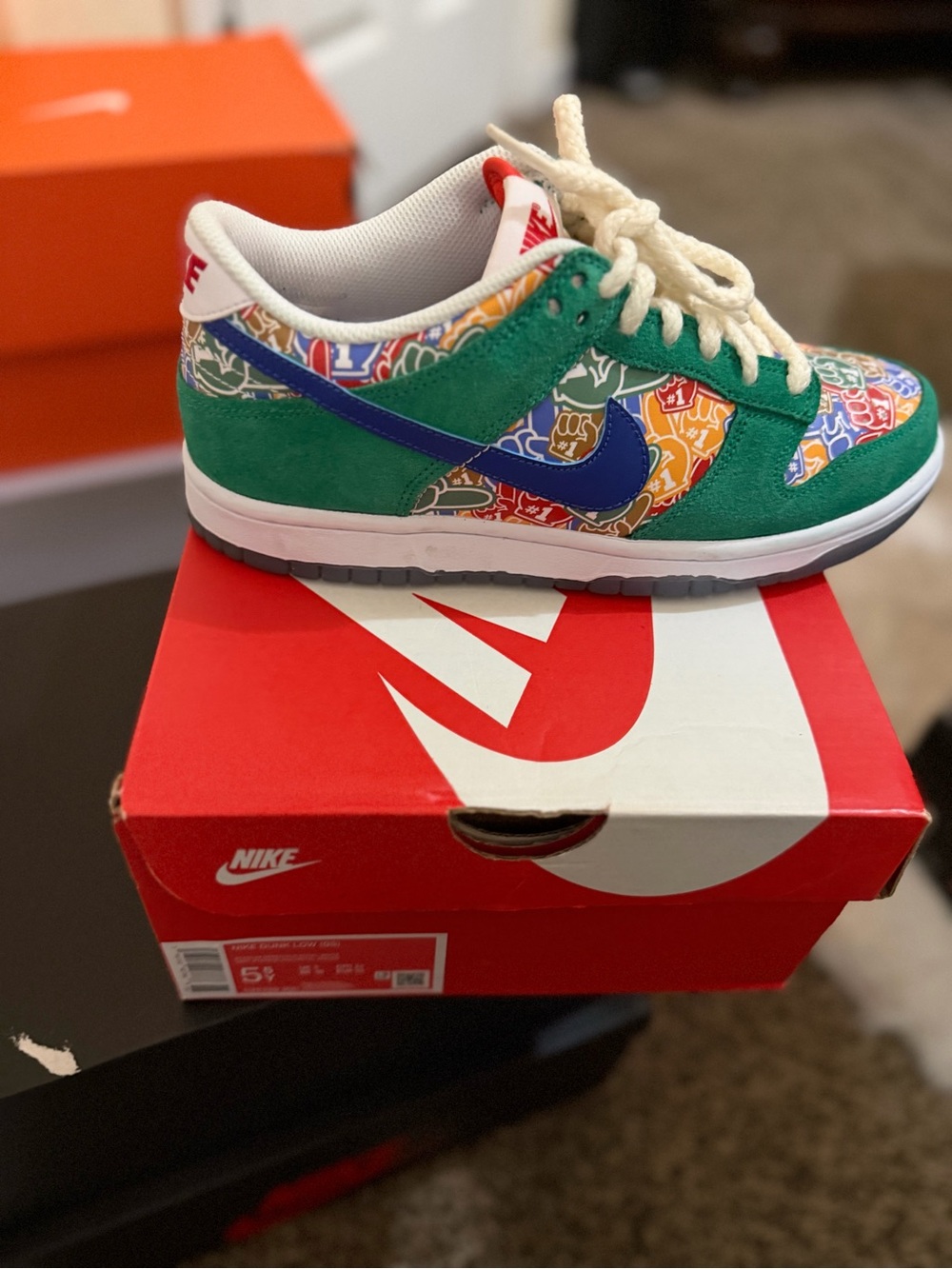 Nike Dunk Green Multi-Color Skate Shoes -